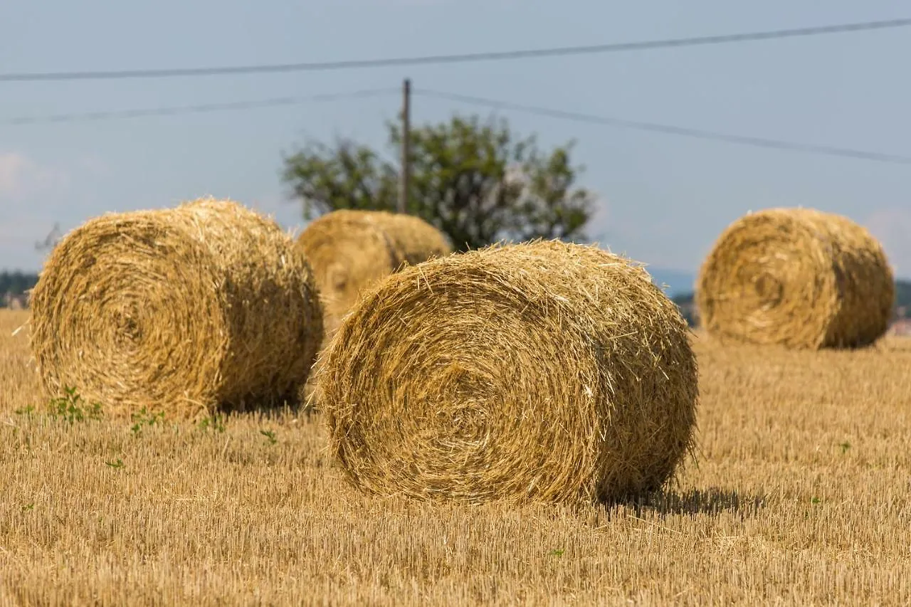 Les Mesanges Du Domaine Du Moulin 31 Βίλα Trollat Σπίτι διακοπών